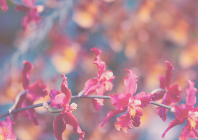 短信轰炸业务网